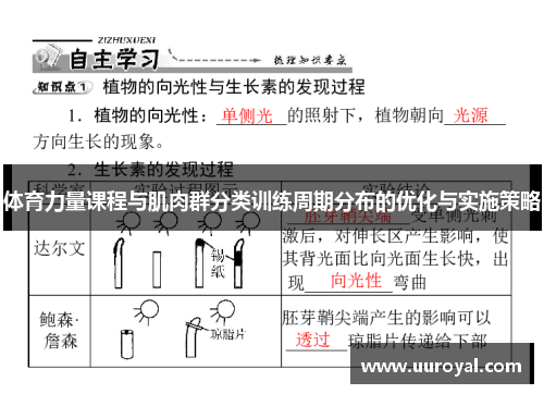 体育力量课程与肌肉群分类训练周期分布的优化与实施策略