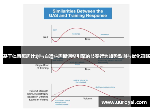 基于体育每周计划与自适应周期调整引擎的节奏行为趋势监测与优化策略